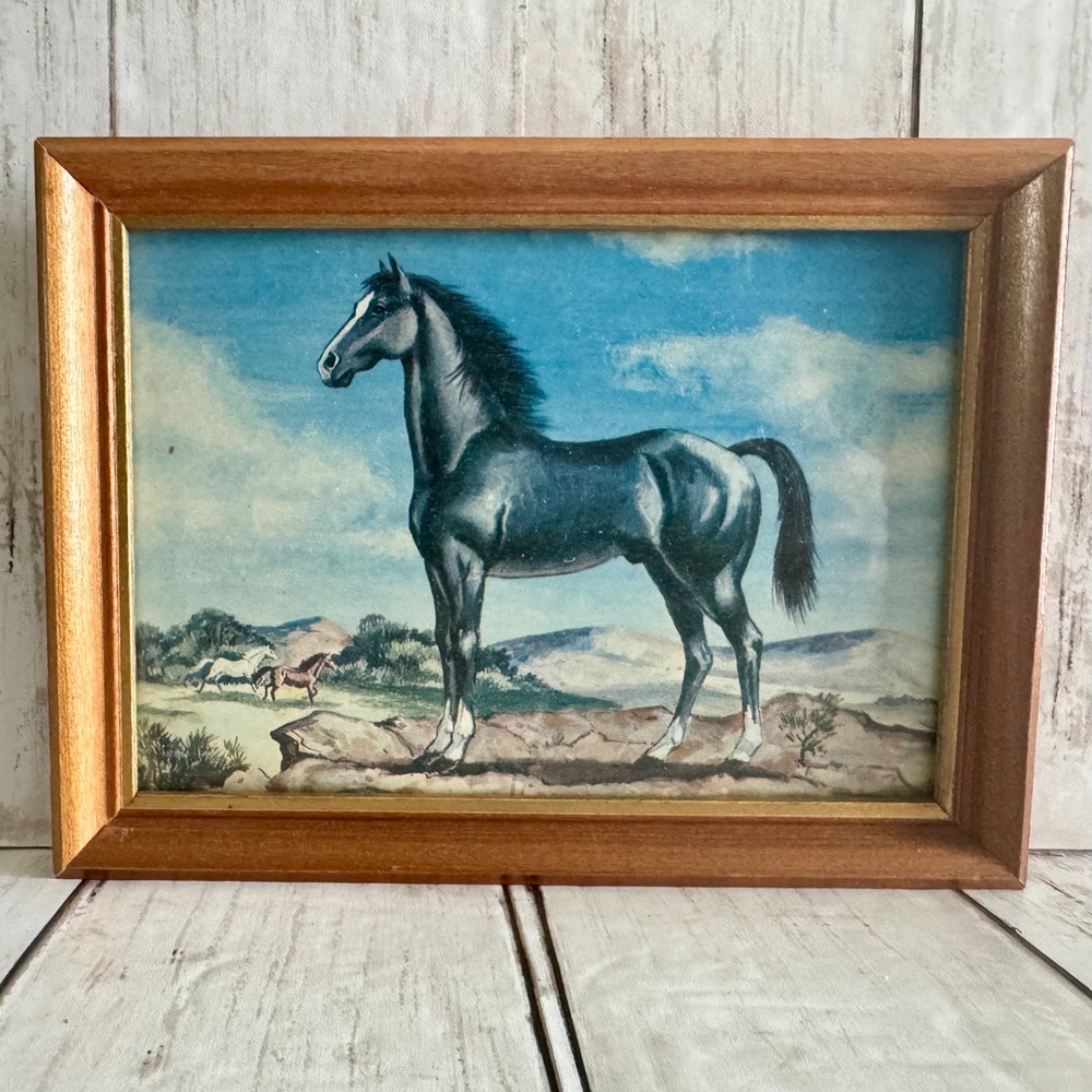 Vintage MCM Wood Framed Black Horse Stallion Western Mid Century Modern 6x8